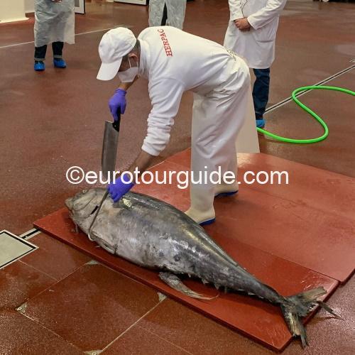 COACH TOUR 10TH APRIL – 17TH APRIL 2026 CADIZ PROVINCE