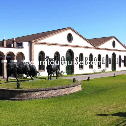 COACH TOUR 10TH APRIL – 17TH APRIL 2026 CADIZ PROVINCE