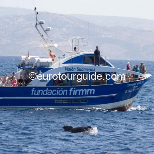 COACH TOUR 10TH APRIL – 17TH APRIL 2026 CADIZ PROVINCE