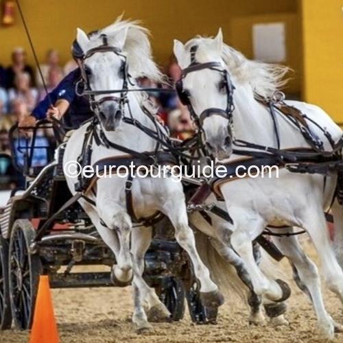 COACH TOUR 10TH APRIL – 17TH APRIL 2026 CADIZ PROVINCE