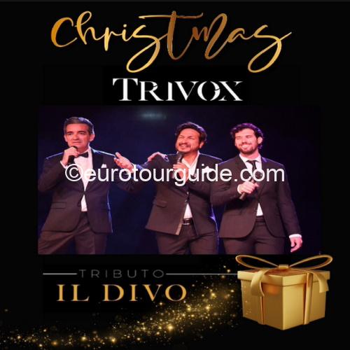 COACH TOUR 29TH DECEMBER 2025 ALICANTE CASINO TRIVOX CONCERT