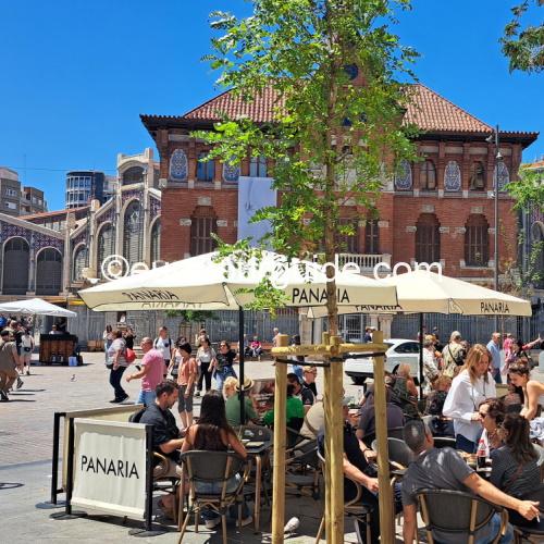 COACH TOUR 30TH & 31ST JANUARY 2026 ANDRE RIEU IN VALENCIA