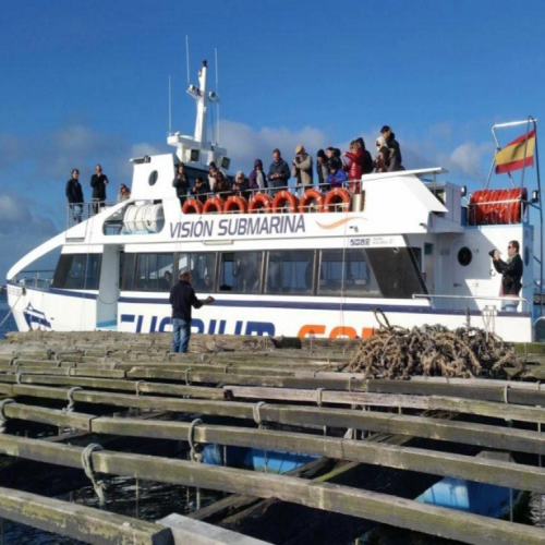 COACH TOUR 22ND-28TH DECEMBER 2025 CHRISTMAS WITH THE HAYES