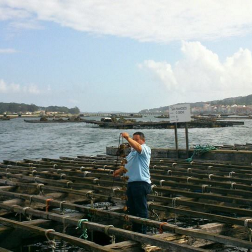 COACH TOUR 22ND-28TH DECEMBER 2025 CHRISTMAS WITH THE HAYES