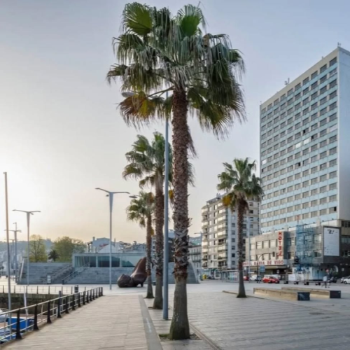 COACH TOUR 22ND-28TH DECEMBER 2025 CHRISTMAS WITH THE HAYES