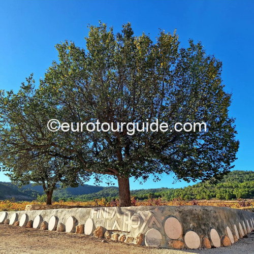 COACH TOUR 13TH NOVEMBER 2025 WINE CLUB 10