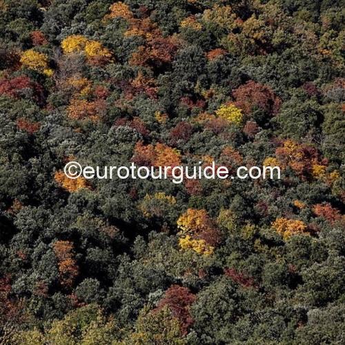 FINAL PAYMENT COACH TOUR 14TH & 15TH NOVEMBER 2024 THE COLOURS OF AUTUMN - Image 5