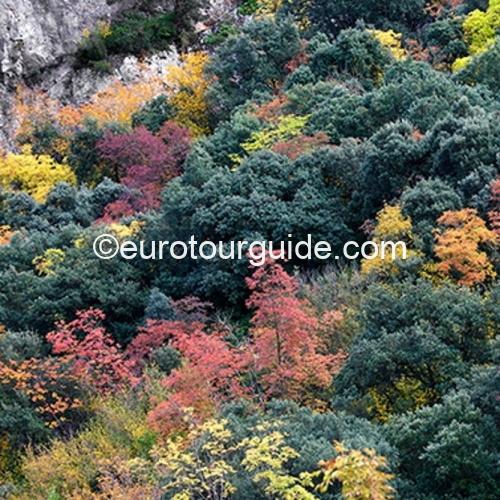 FINAL PAYMENT COACH TOUR 14TH & 15TH NOVEMBER 2024 THE COLOURS OF AUTUMN - Image 10