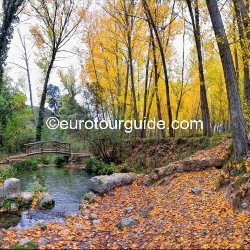 FINAL PAYMENT COACH TOUR 14TH & 15TH NOVEMBER 2024 THE COLOURS OF AUTUMN - Image 14