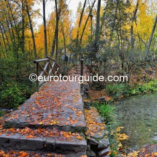 FINAL PAYMENT COACH TOUR 14TH & 15TH NOVEMBER 2024 THE COLOURS OF AUTUMN - Image 4