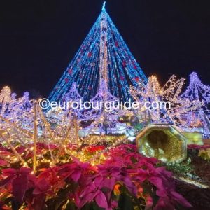 COACH TOUR 18TH DECEMBER 2025 MURCIA CHRISTMAS LIGHTS