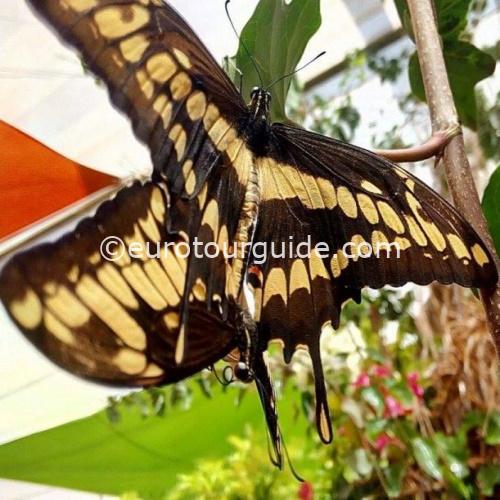 COACH TOUR 17TH-20TH SEPTEMBER 2025 ENTRE NARANJOS CABO DE GATA - Image 11