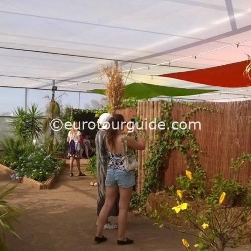 COACH TOUR 17TH-20TH SEPTEMBER 2025 ENTRE NARANJOS CABO DE GATA - Image 18