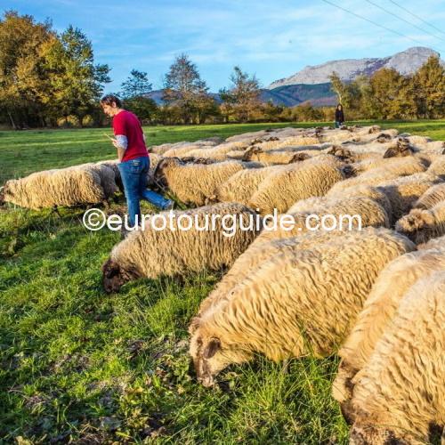 COACH TOUR 6TH-11TH FEBRUARY 2026 BASQUE COUNTRY PROVINCES SAN SEBASTIAN & VITORIA