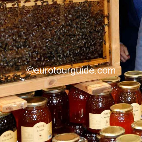 COACH TOUR 13TH-15TH MARCH 2026 ALCALA DE HENERAS & MORE - Image 3