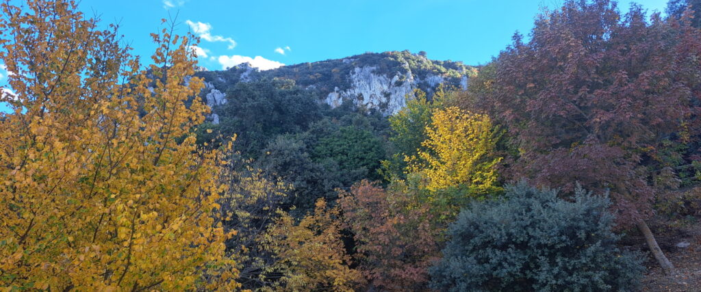 Scenic-Escapes-Autum-Colours