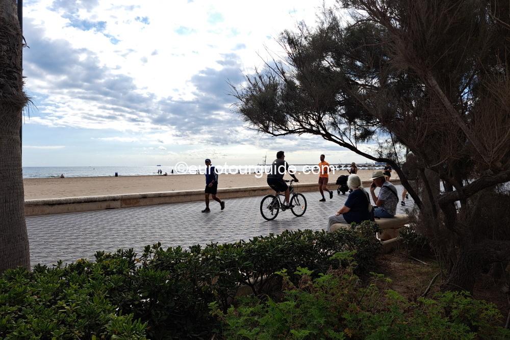 EuroTourGuide Coach Tour Castelleon