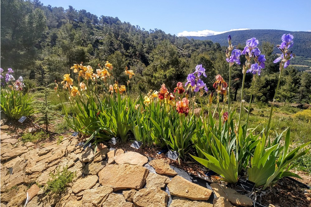 EuroTourGuide Coach ToursAC Alcoy Biologica de Torretes