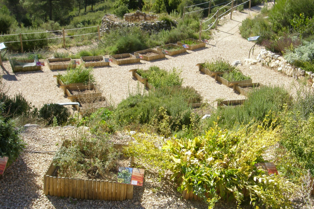 EuroTourGuide Coach Tours Alcoy Biologica de Torretes_1