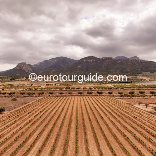 EuroTourGuide Coach Tours Wine Club 12 Bodega Carchelo