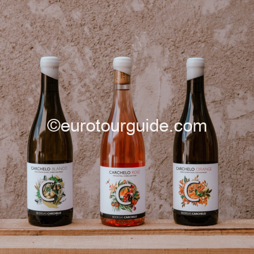 EuroTourGuide Coach Tours Wine Club 12 Bodega Carchelo