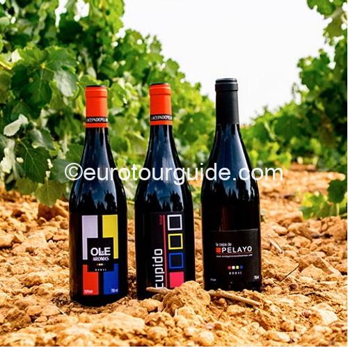 EuroTourGuide Coach Tour Wine Tour Bodega Cepa de Pelayo