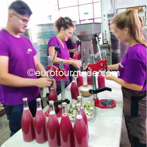 EuroTourGuide Coach Tour Wine Tour Bodega Gratias