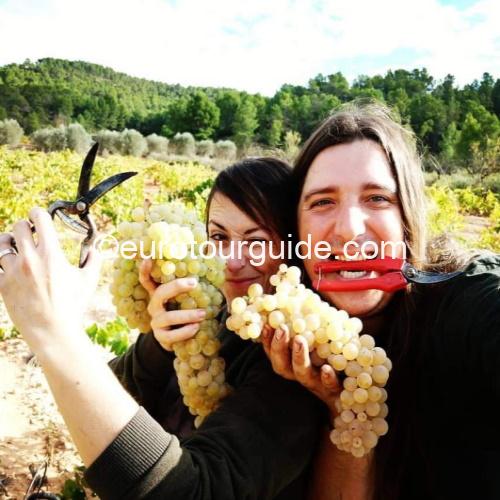 EuroTourGuide Coach Tour Wine Tour Bodega Pigar