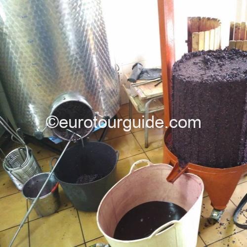 EuroTourGuide Coach Tour Wine Tour Bodega Pigar
