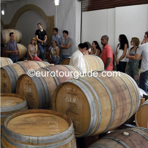 EuroTourGuide Coach Tour Wine Tour Bodega Vera De Estenas