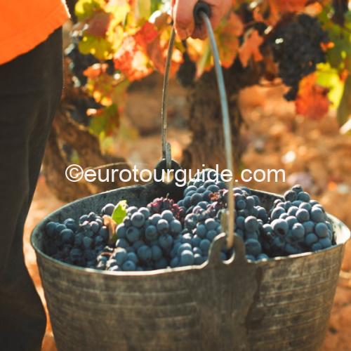 EuroTourGuide Coach Tour Wine Tour Utiel Requena