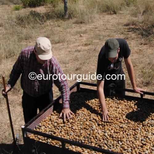 EuroTourGuide Coach Tours Off Road Almonds