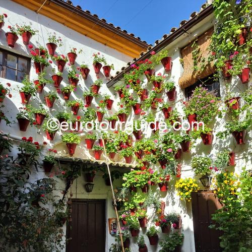 EuroTourGuide Coach Tours Cordoba