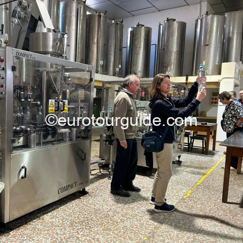EuroTourGuide Coach Tours Albacete Christmas Cheer Road trip