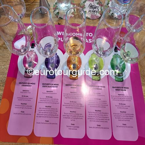 EuroTourGuide Coach Tours Puerto de India Gin
